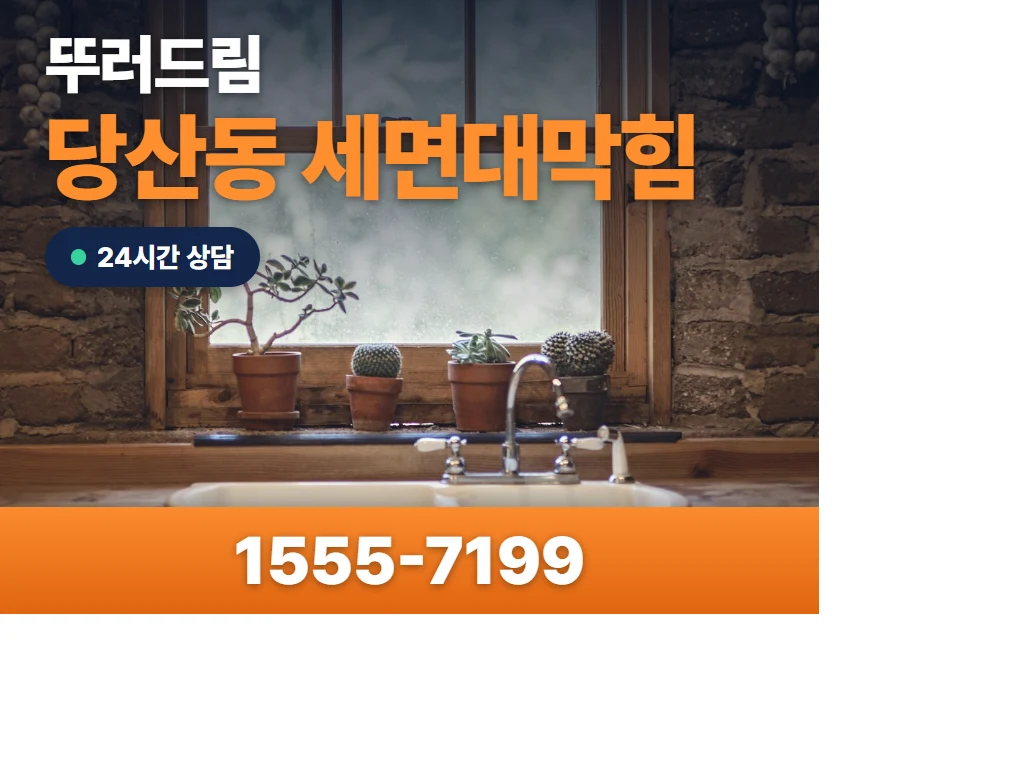 당산동 세면대막힘 현장