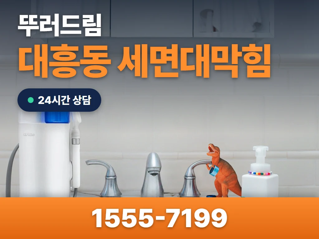 대흥동 세면대막힘 현장