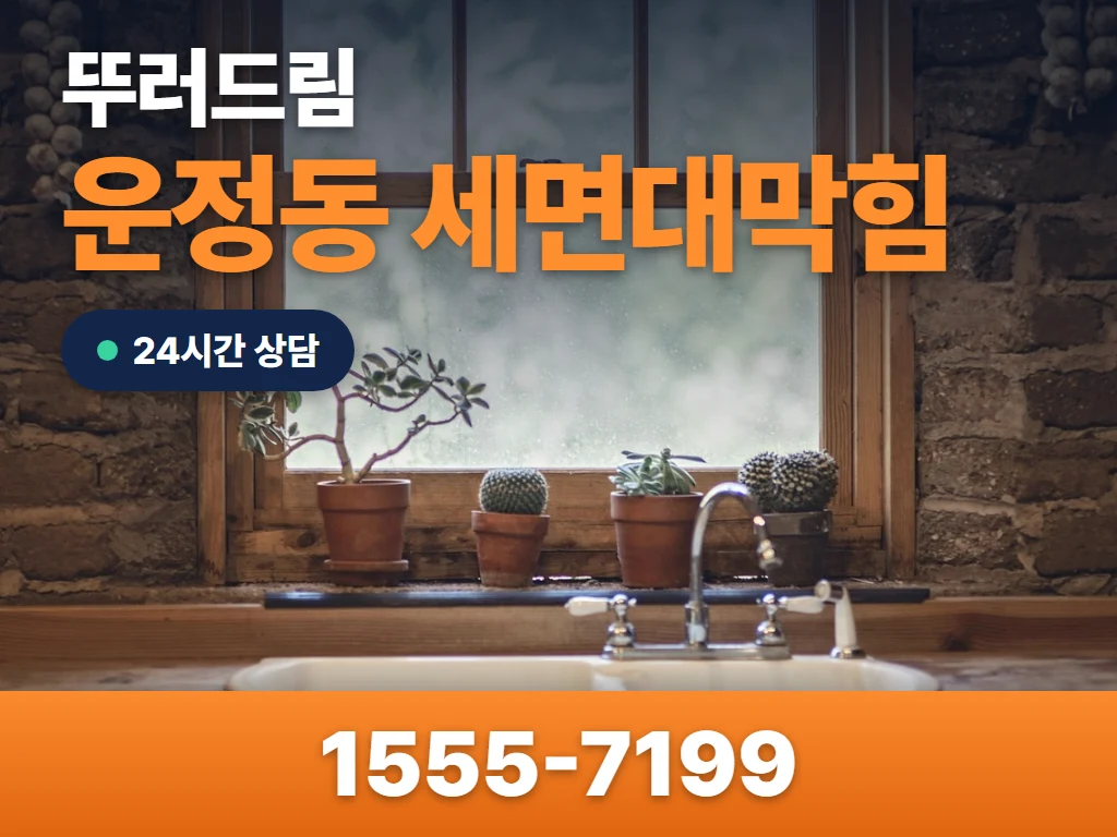운정동 세면대막힘 현장