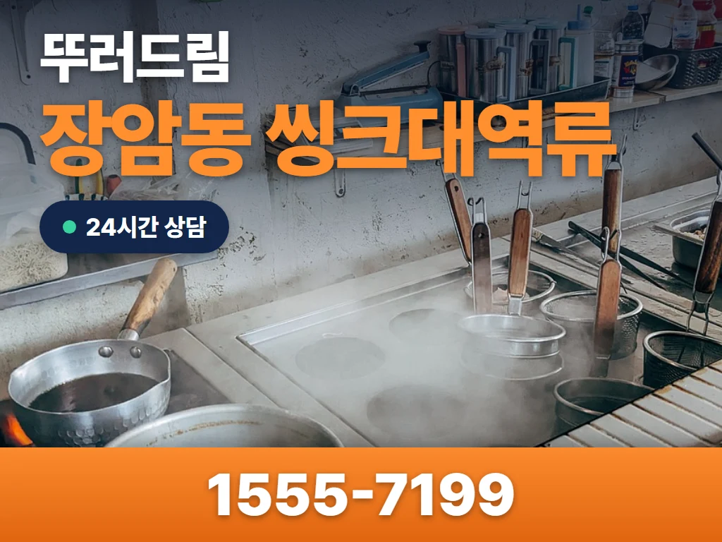장암동 씽크대역류 현장
